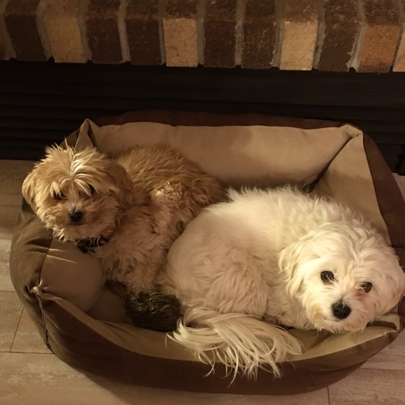 Meet your Posher, Karin - Picture 1 of 1